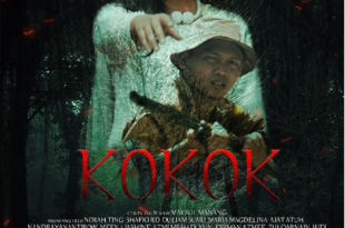 Telefilem Kokok