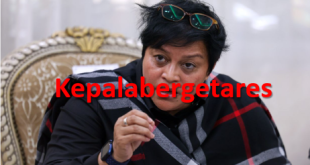 Freedom of Information Act in the works says Azalina
