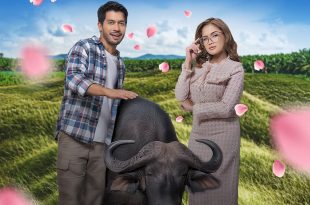 Si Bakhil dengan Bunganya